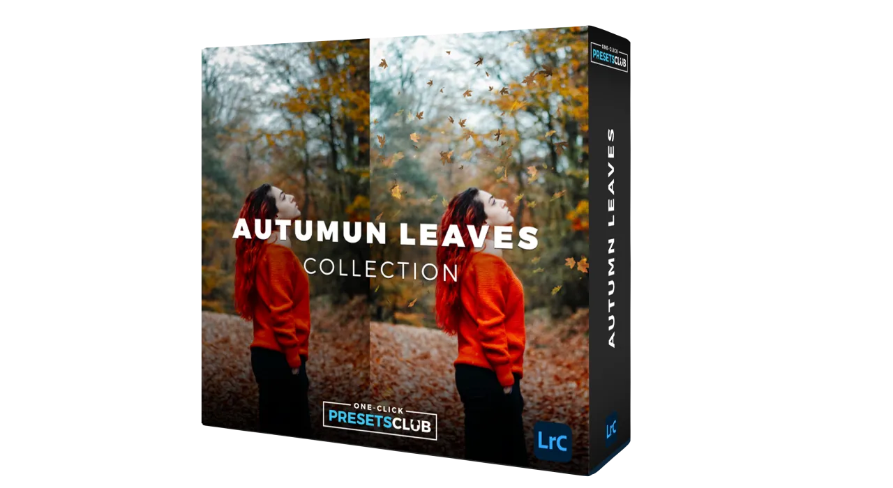 Autumn Leaves Overlays