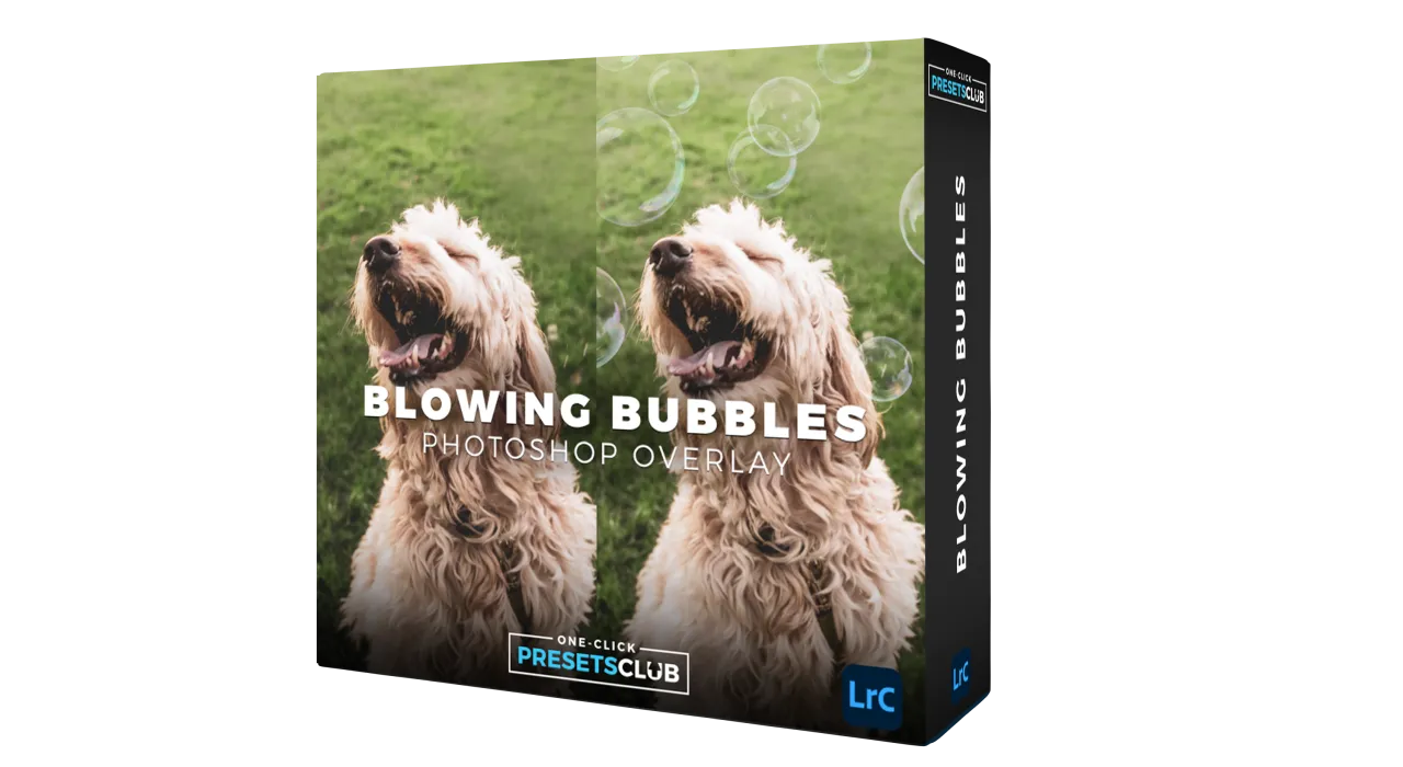 Blowing Bubbles Overlays