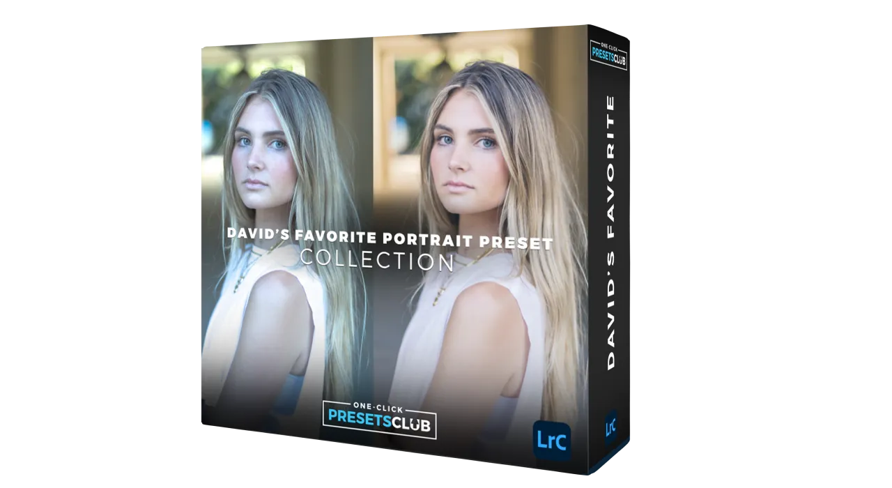David’s Favorite Portrait Presets