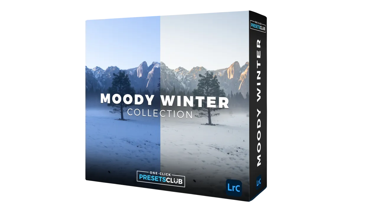 Moody Winter Presets — Private