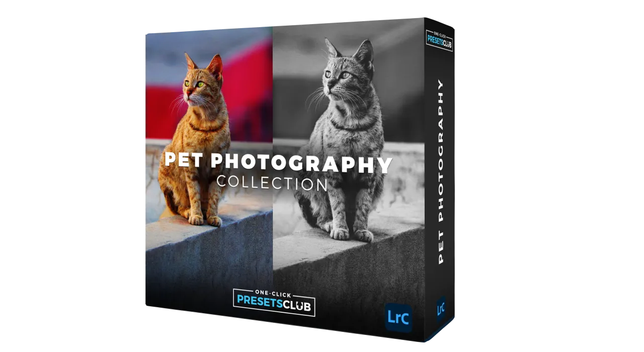 Pet Photography Collection