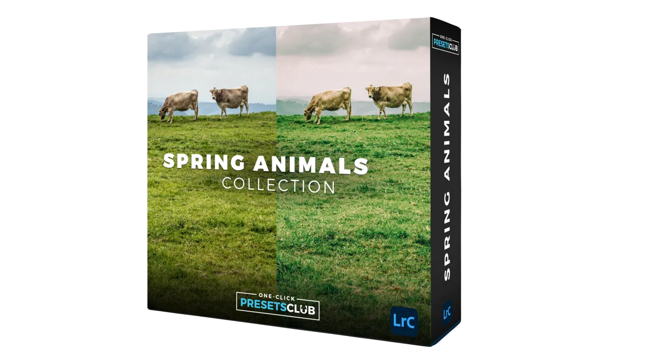 Spring Animals Collection