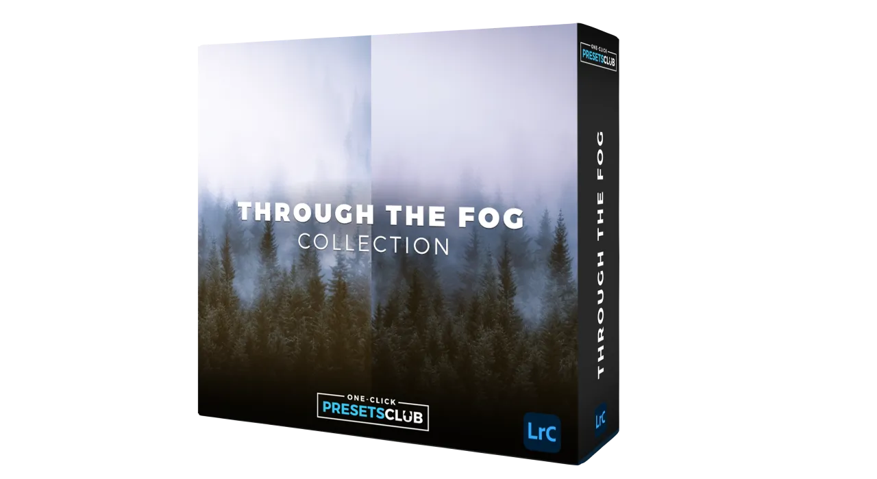 Through the Fog Collection