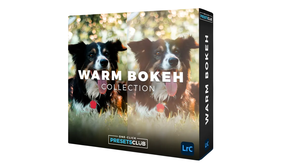 Warm Bokeh Overlays