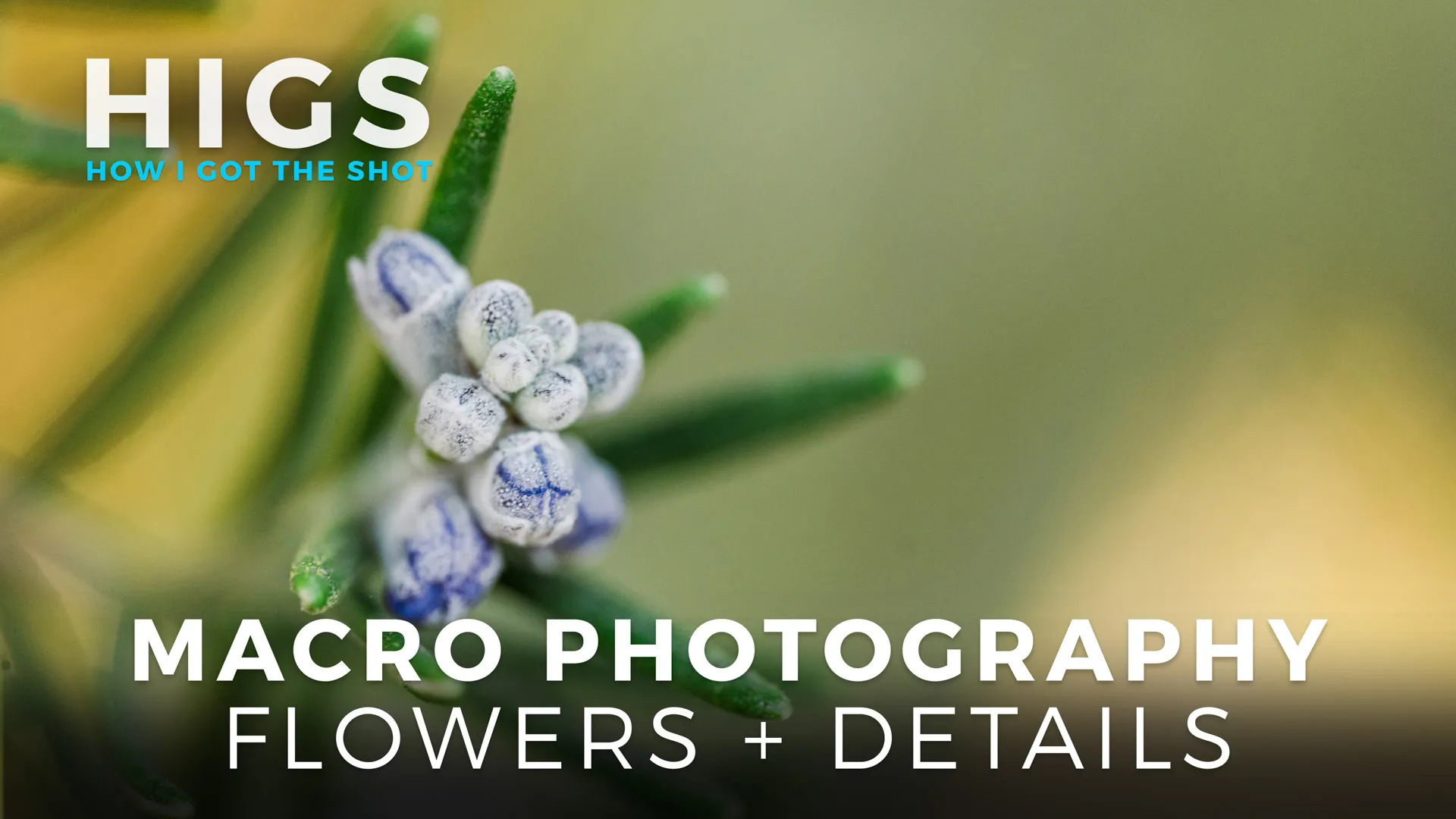Shooting a Macro Lens for Details in Natural Light + Portaits