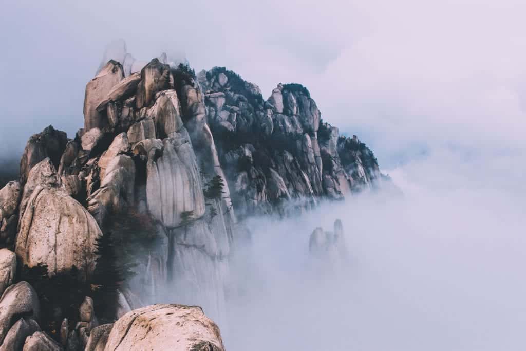 lrp-fog-1