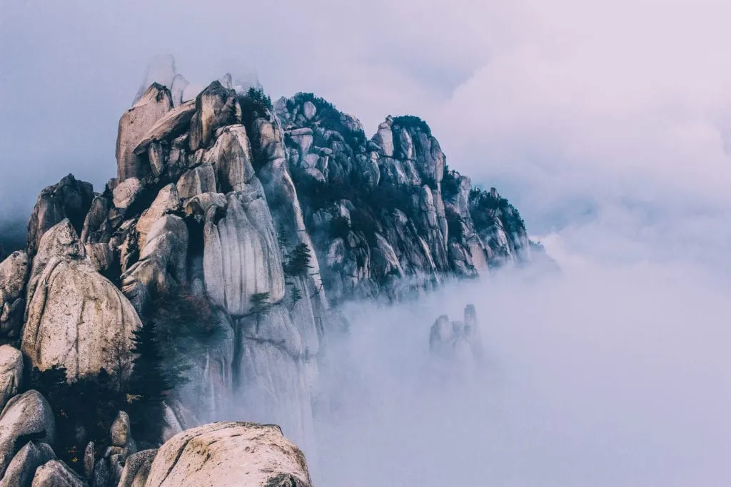 lrp-fog-1