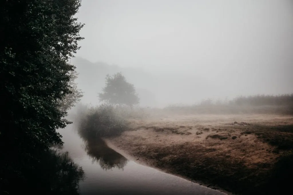 lrp-fog-3
