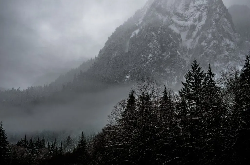 lrp-fog-4