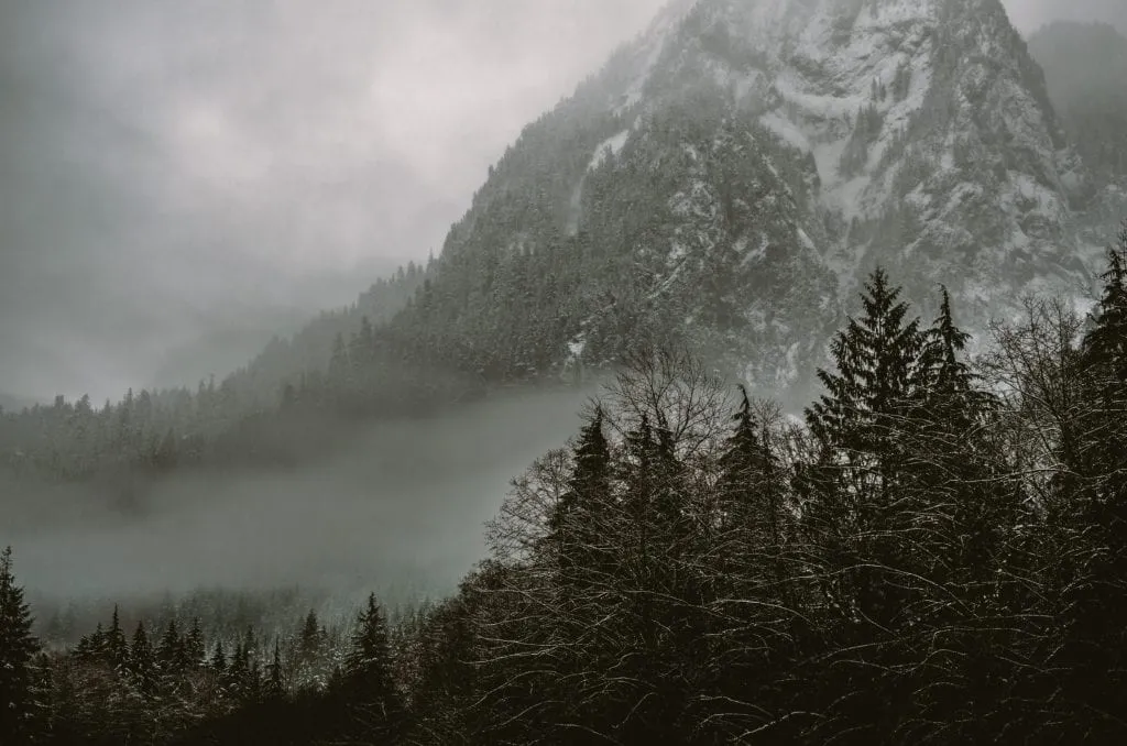lrp-fog-4