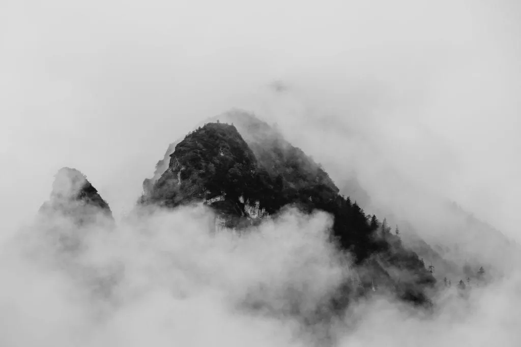 lrp-fog-5