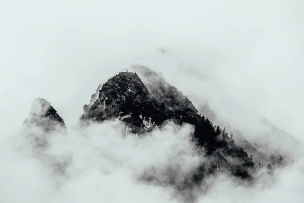 lrp-fog-5