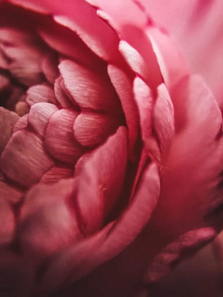 lrp-macro-photo-4