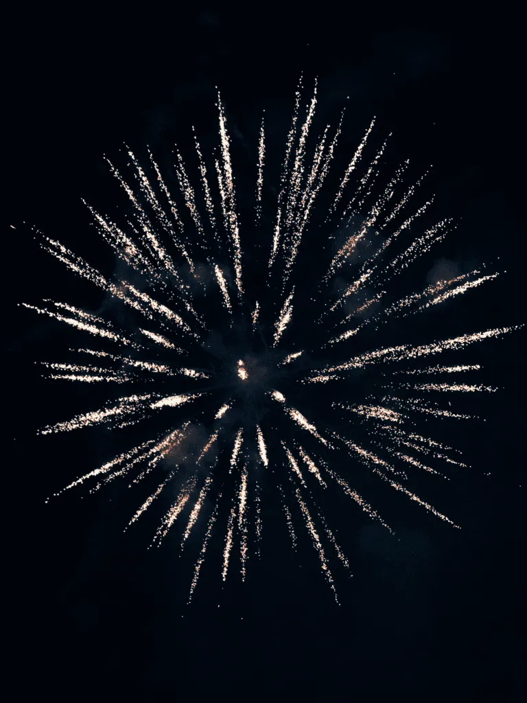 lrp-firewks-1