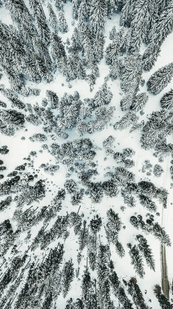 lrp-drone-photo-1-7