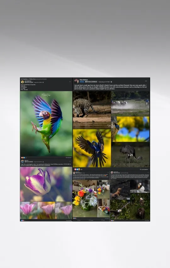 Online Community – Your Private Photography Family