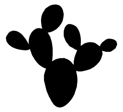 223 Collection Icon