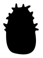 223 Collection Icon