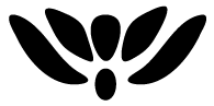 223 Collection Icon