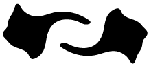 223 Collection icon