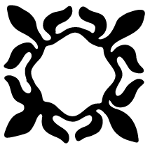 223 Collection icon