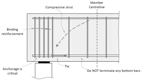 concrete-detailing-1.1.3-anchorage-bottom-reinforcement-short-span-members.png
