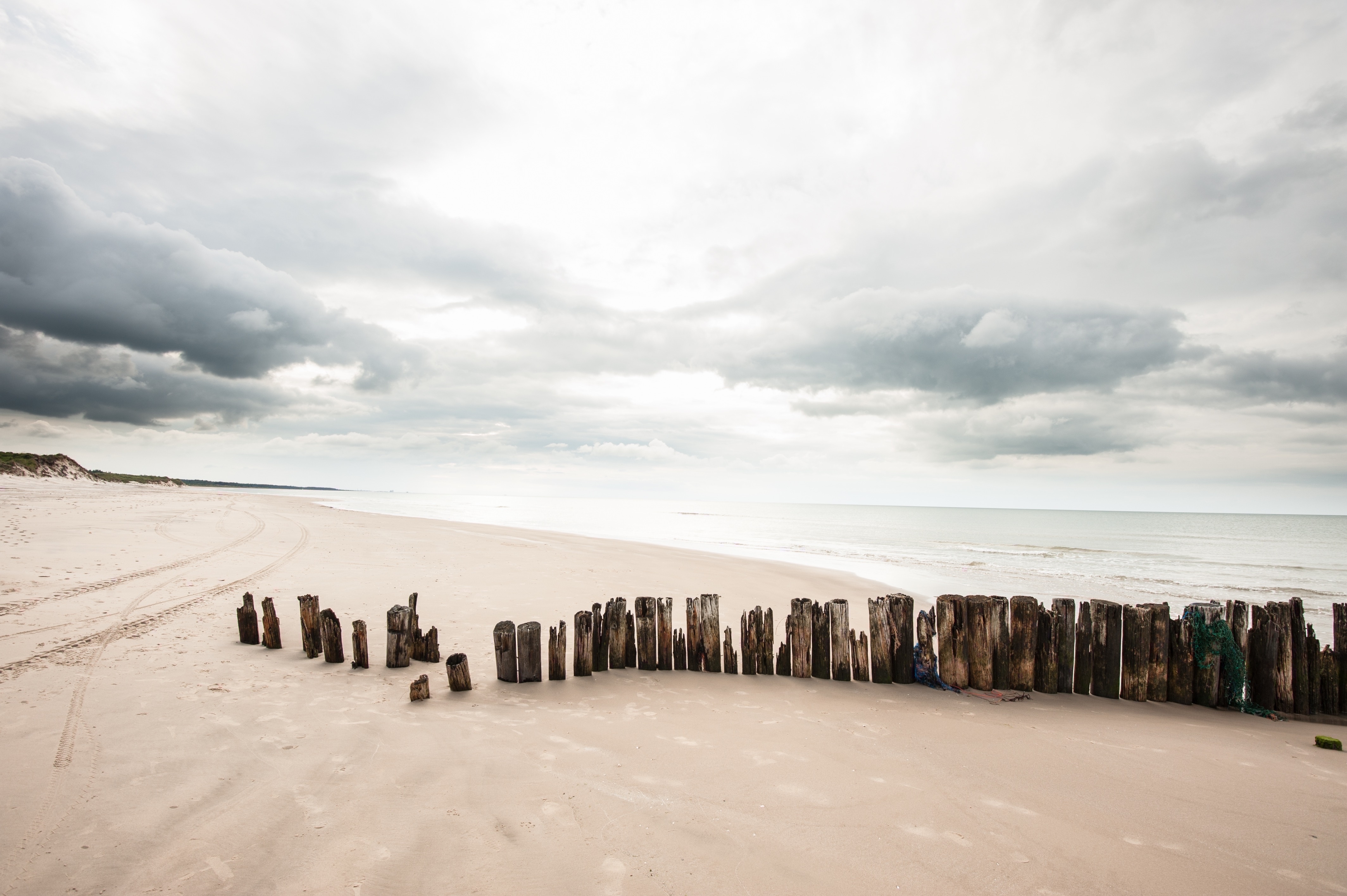 Få overblik over selskaber og deres porteføljer