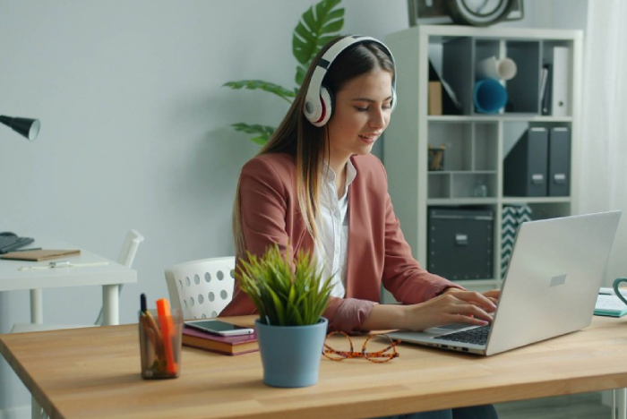 Få overblik over selskaber og deres porteføljer
