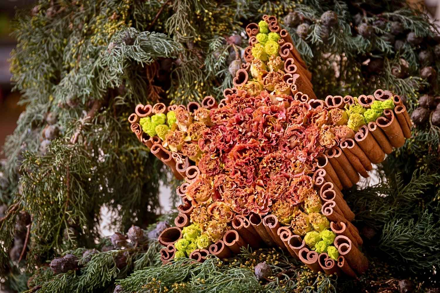 Festive Christmas decor idea featuring a star shape framed with cinnamon sticks and filled with rust, green, and yellow Lisianthus (Eustoma) blooms, a unique fresh flower Christmas arrangement.