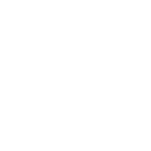 Tiktok logo