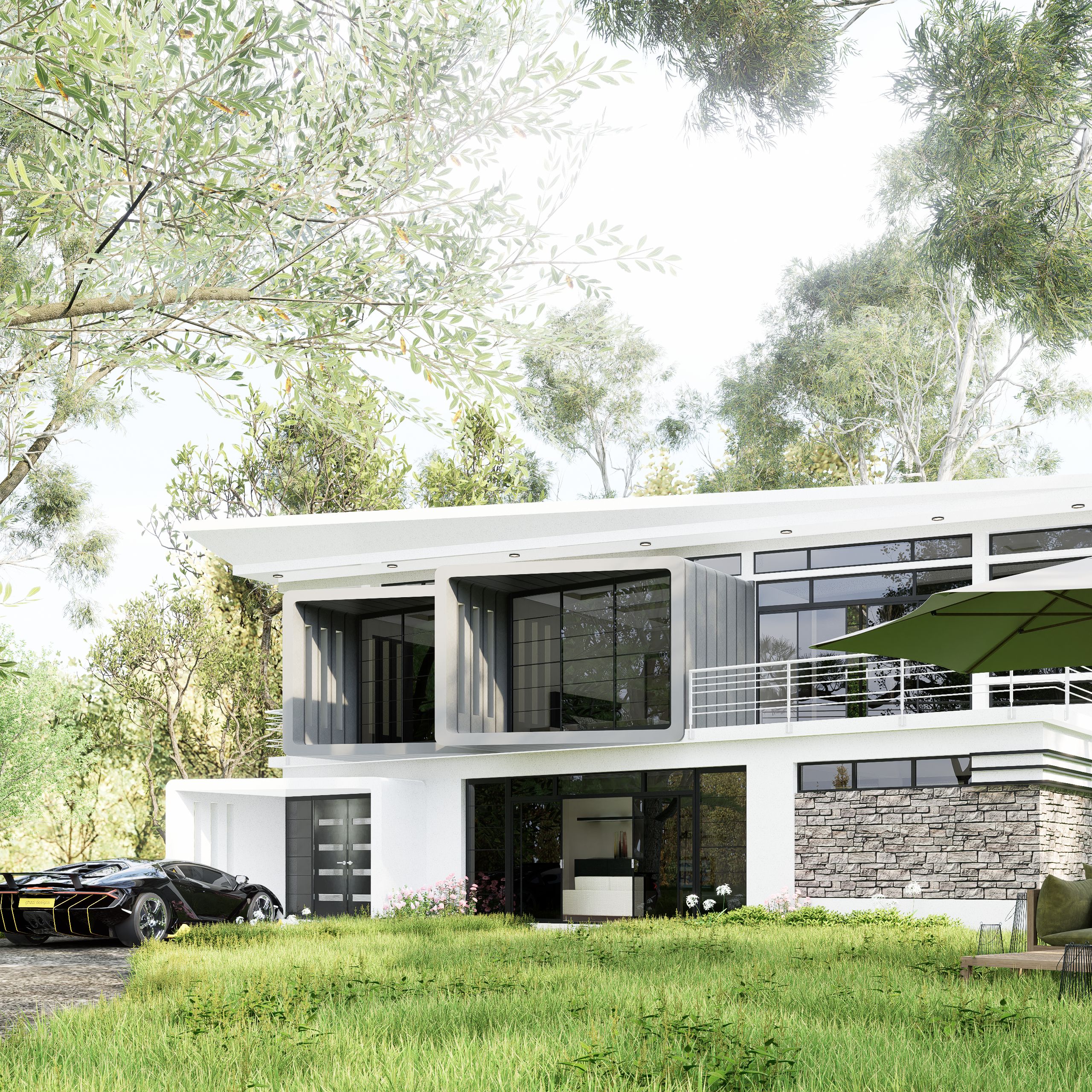 Project V1 Image
