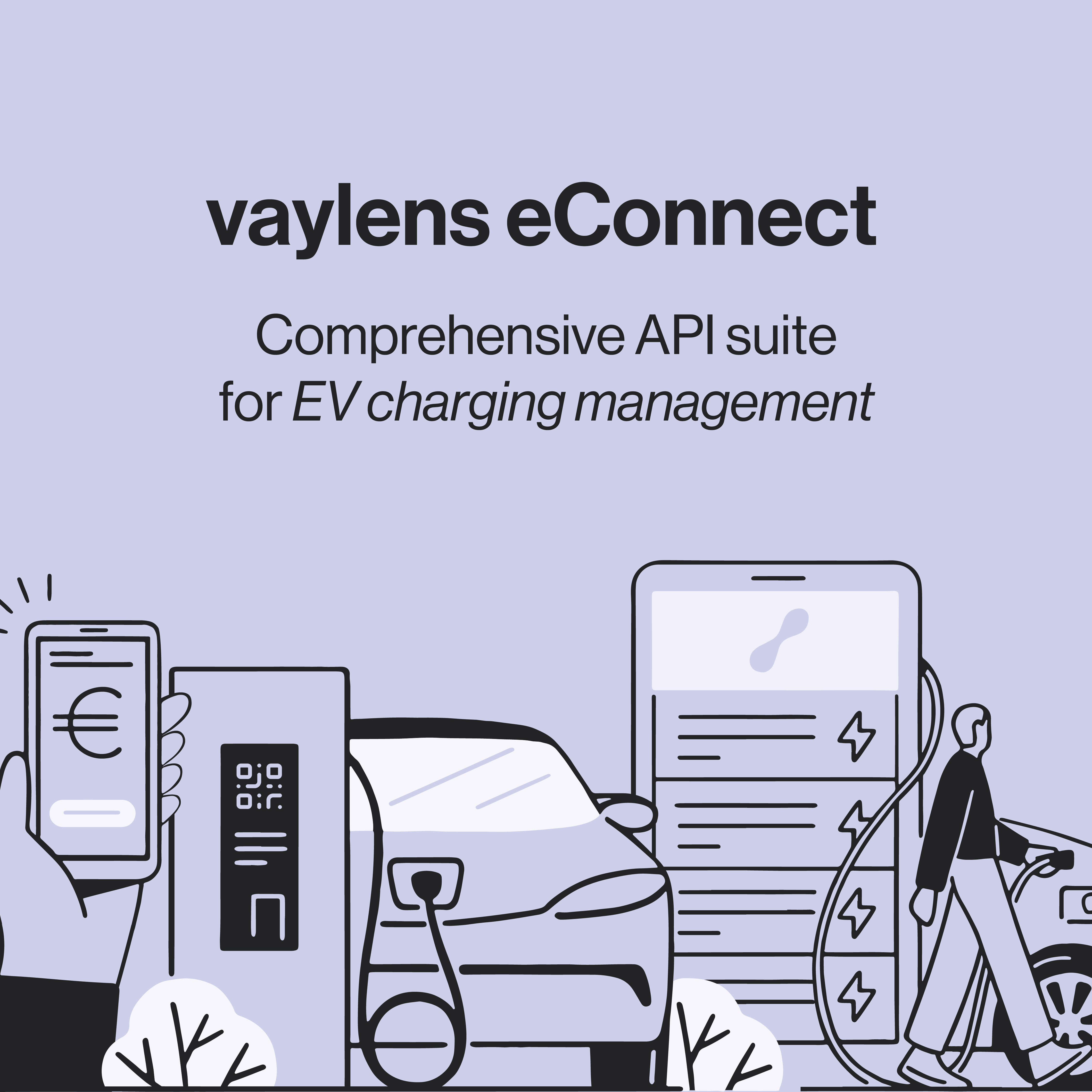 vaylens API eConnect