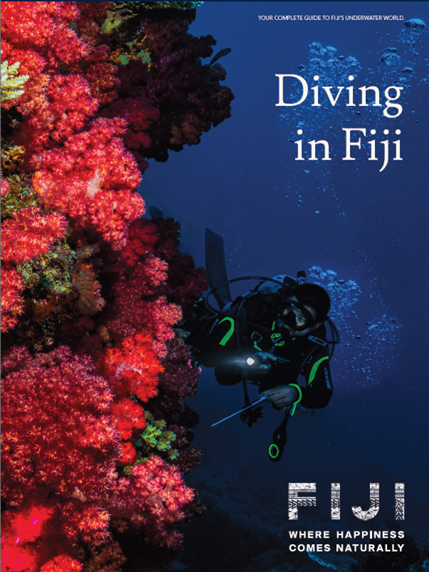 Diving In Fiji