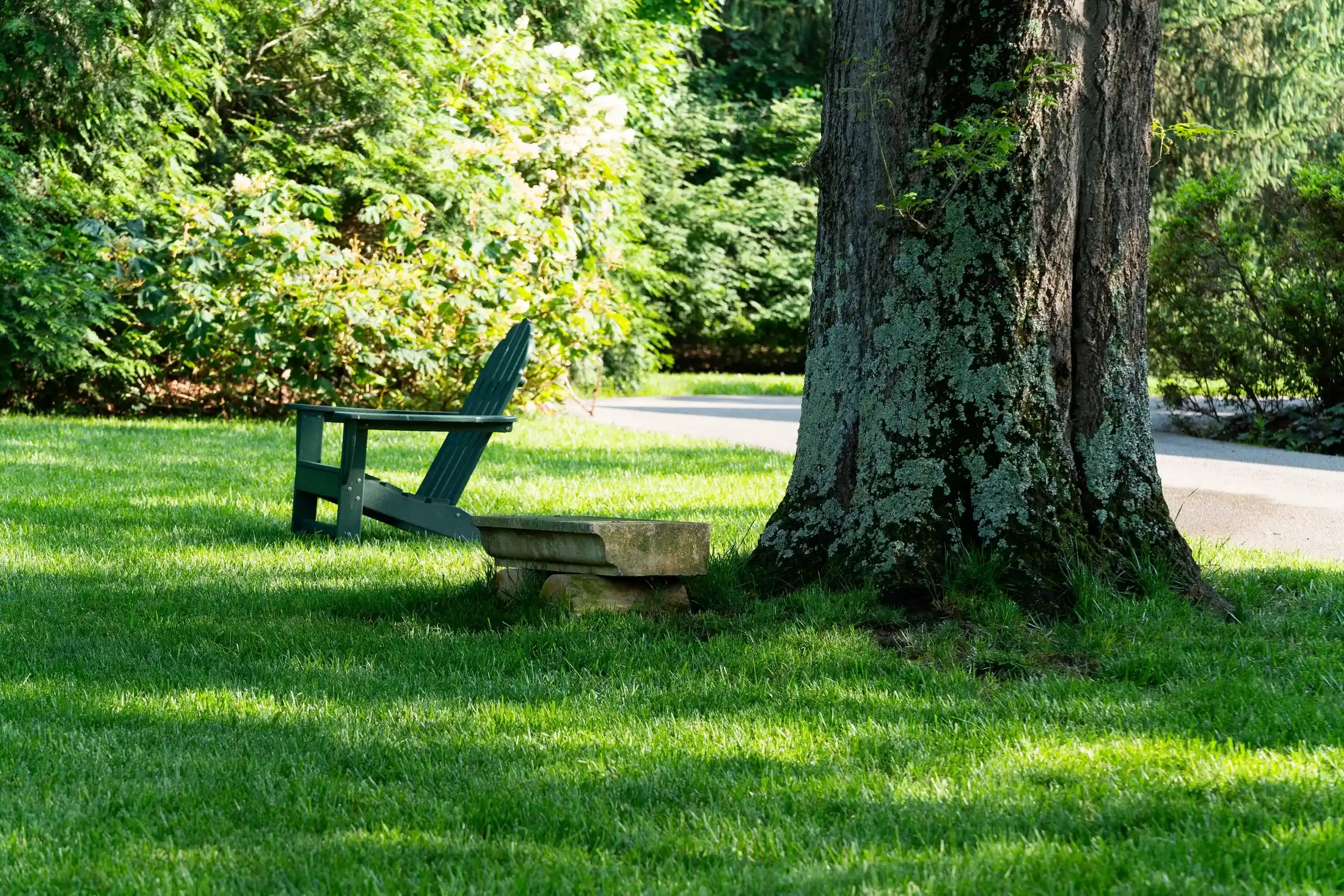 Peaceful park-like setting with bench under mature trees and maintained lawn by Veragreen