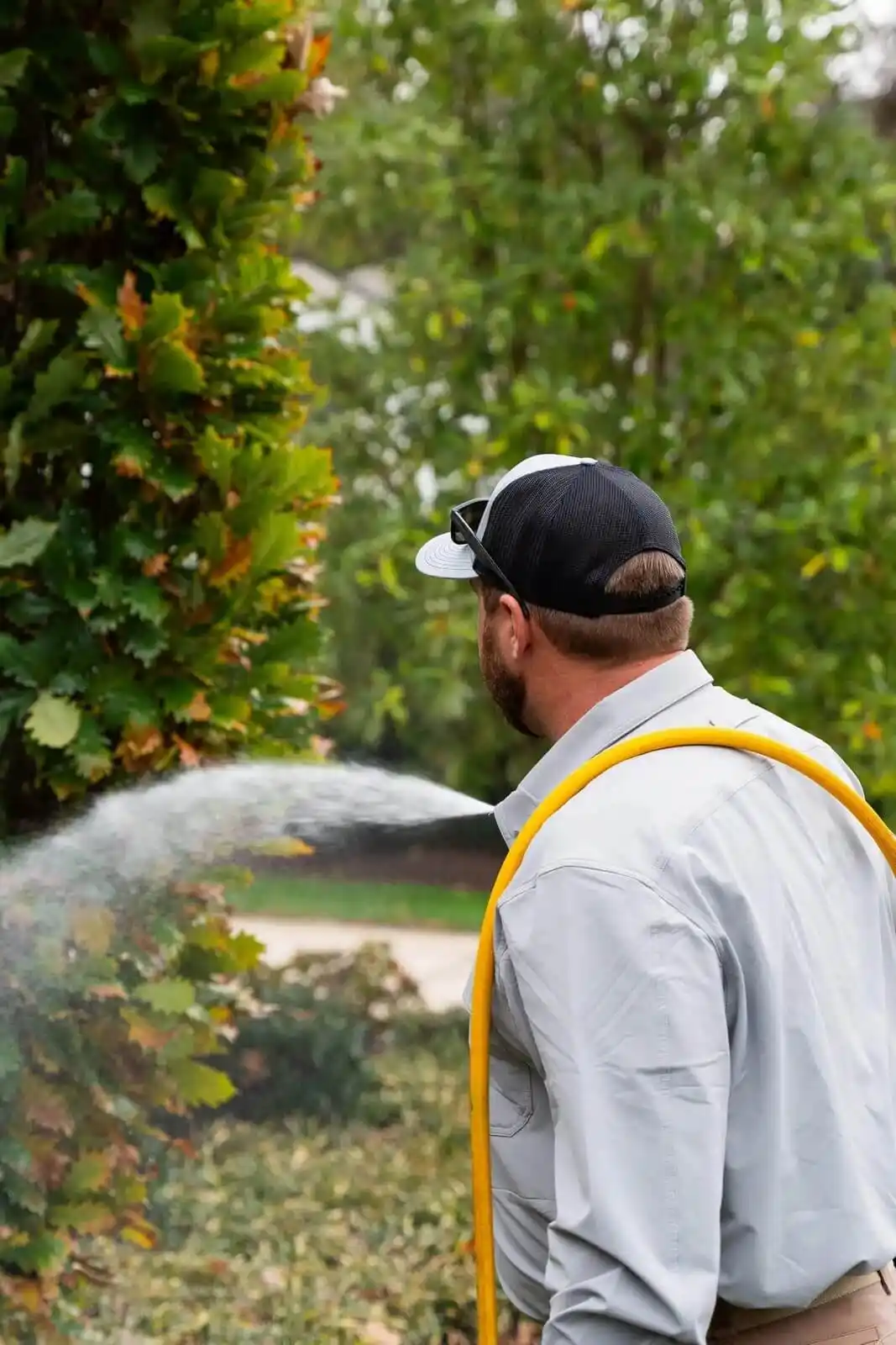 Veragreen technician focused on detailed landscape maintenance work in established plantings