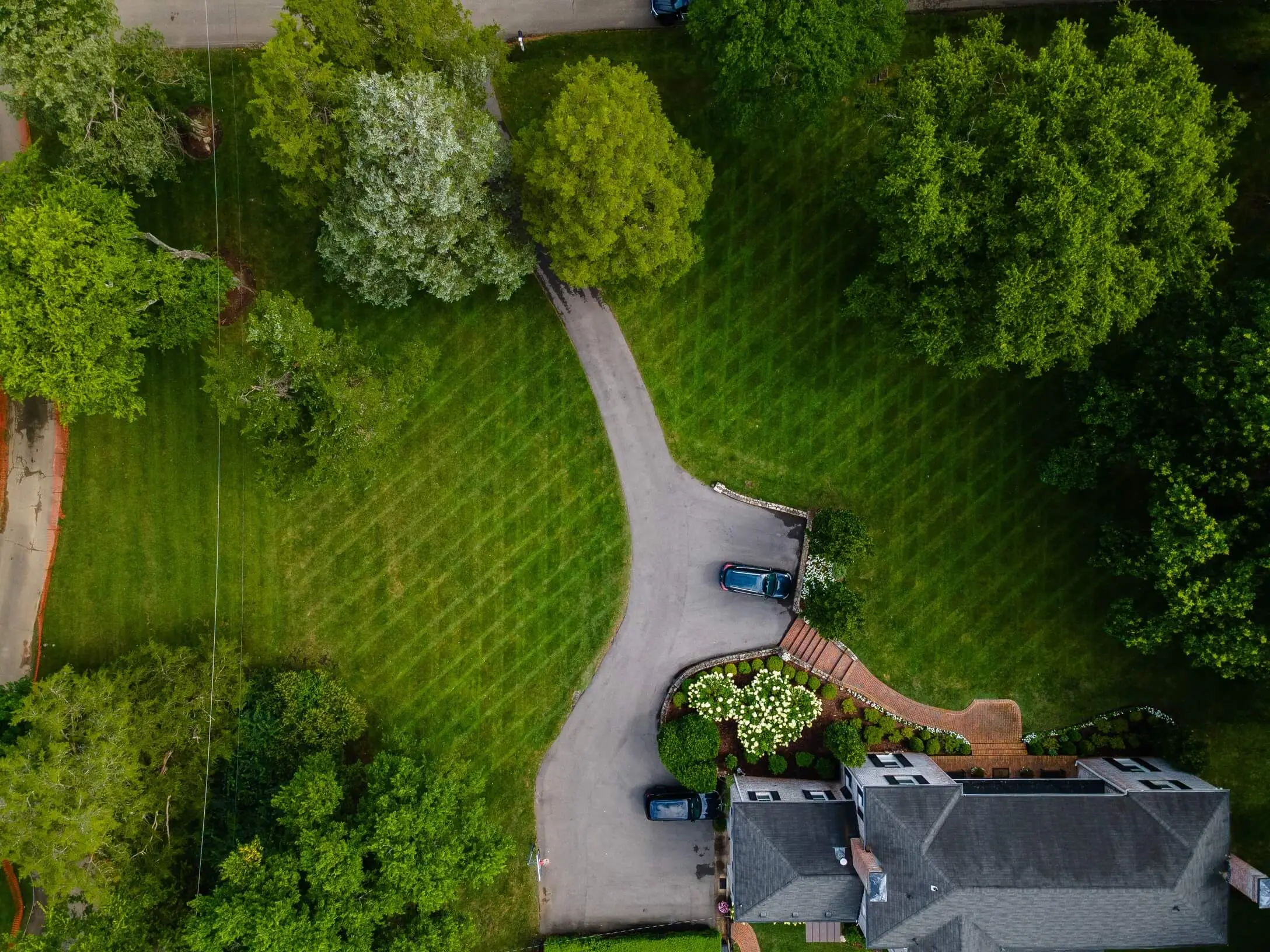 Aerial view featuring curved driveway and professionally striped lawn with mature tree coverage maintained by Veragreen
