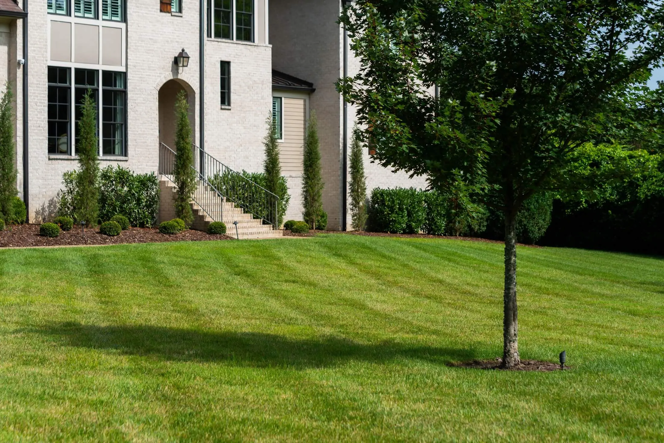 Modern home with professional landscape design featuring striped lawn and comprehensive plantings maintained by Veragreen