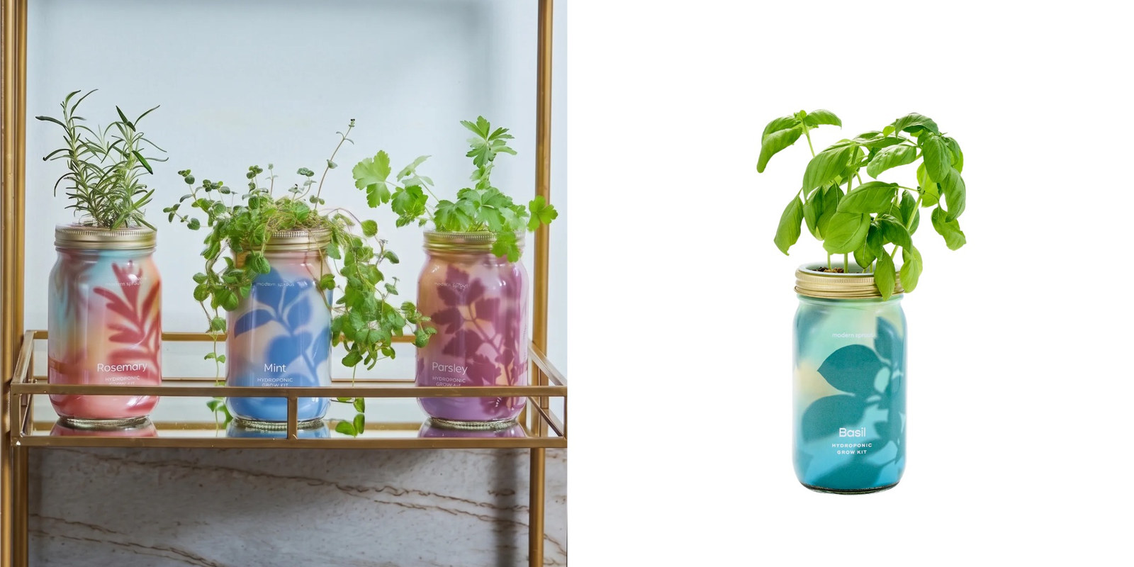 Colorful floral Sprout hydroponic garden jars growing rosemary, mint, parsley and basil.