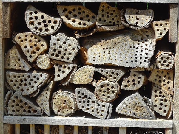 Bug hotel waiting to host insects