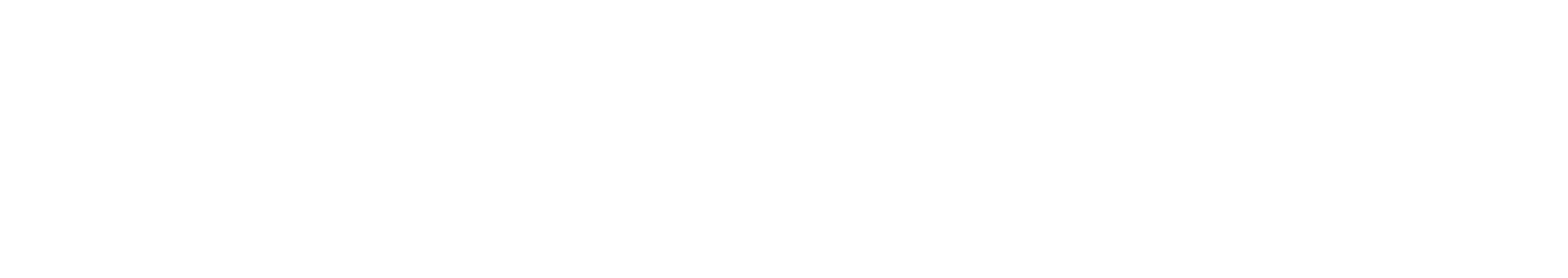 vr scout logo