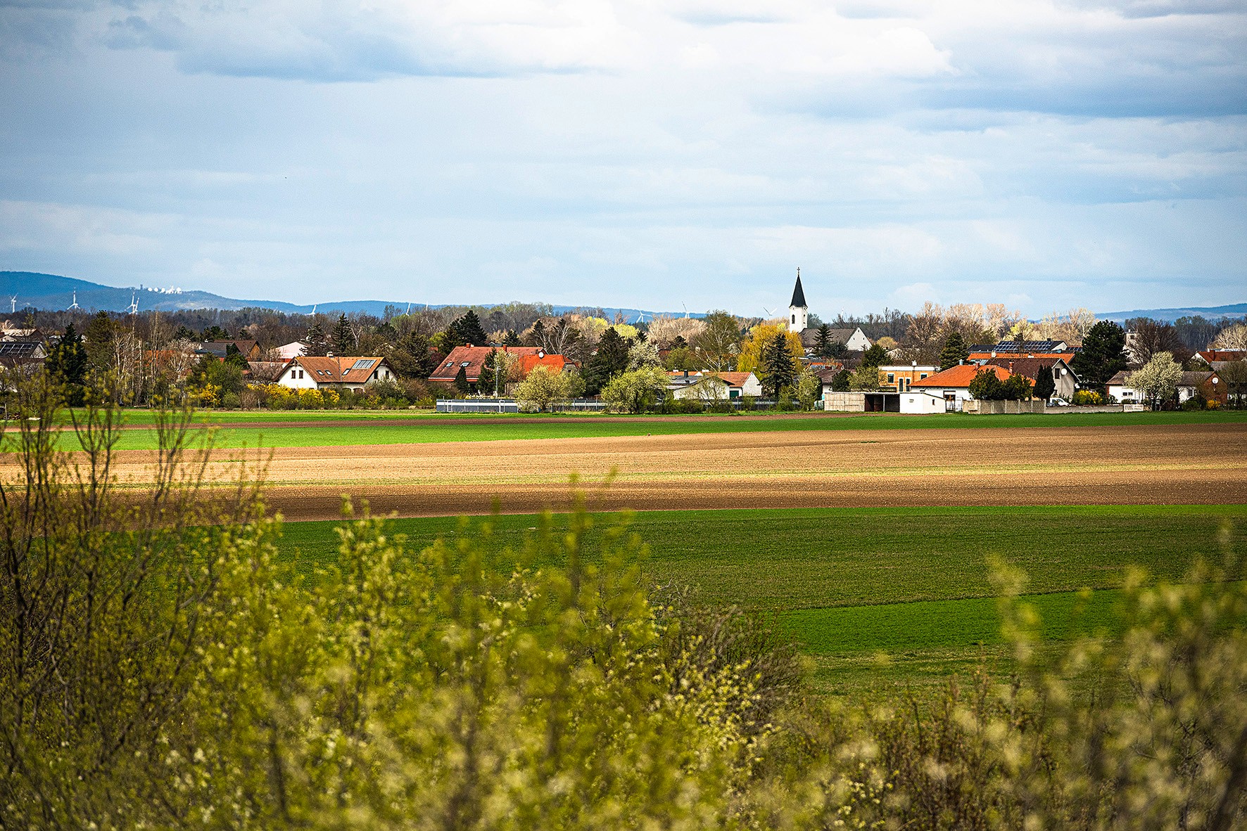 Property List Thumbnail