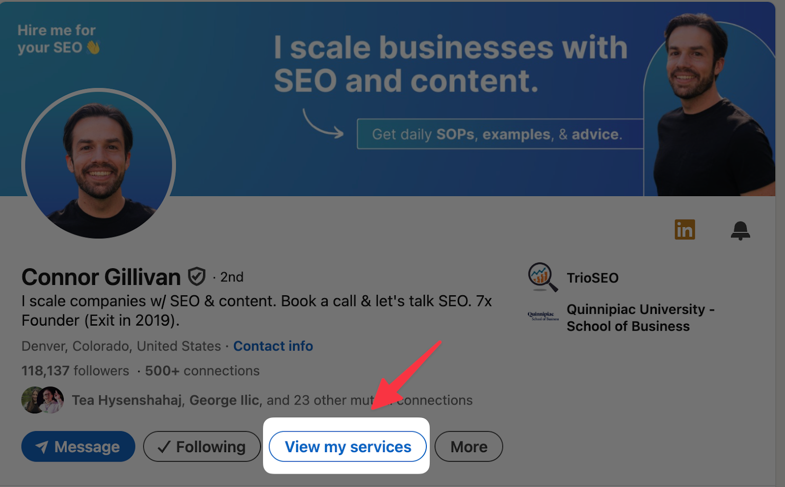 view my services linkedin button
