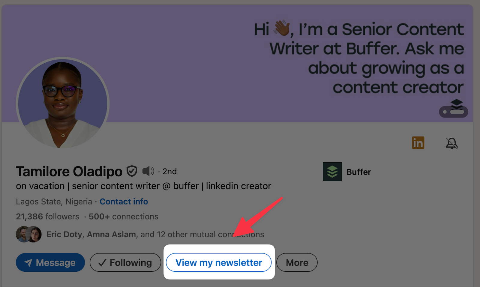 view my newsletter linkedin button