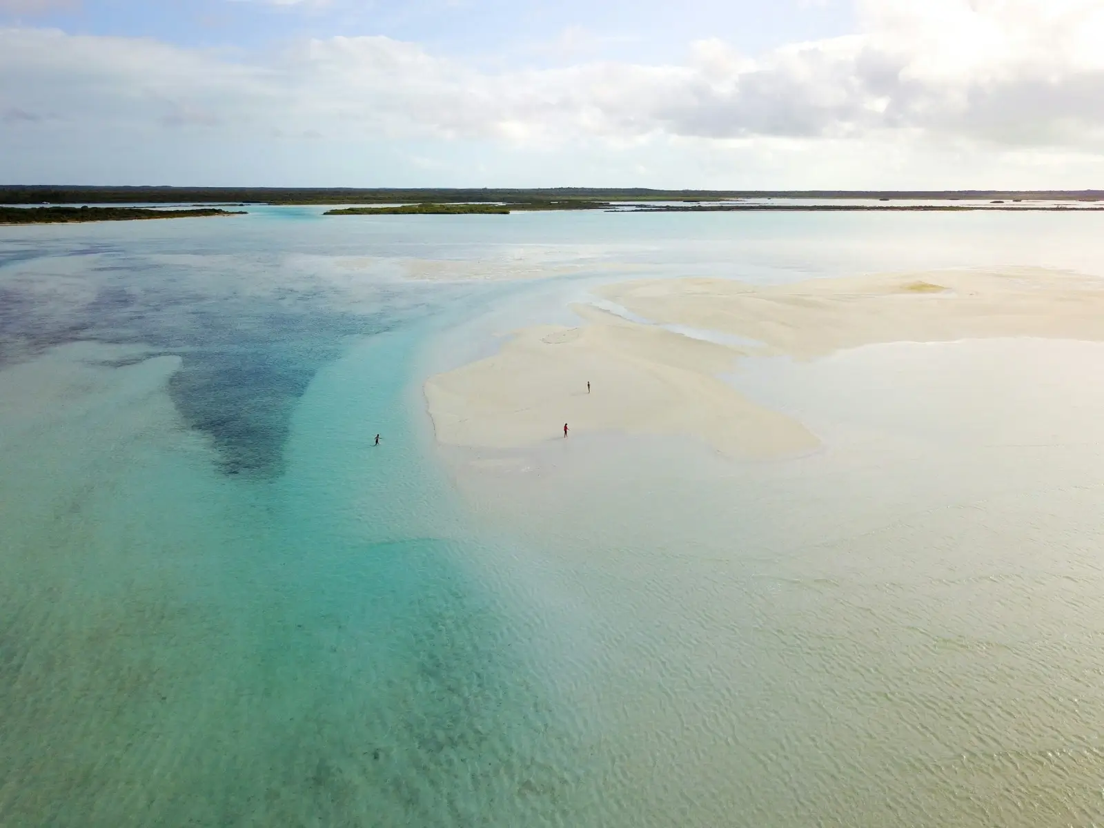 Exuma turquoise sea with swimming pigs