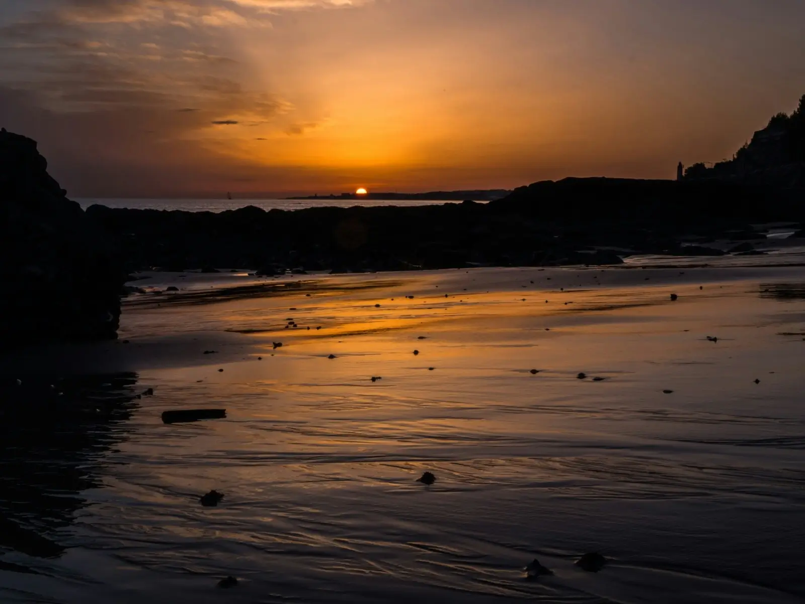 Lisbon city view and trams