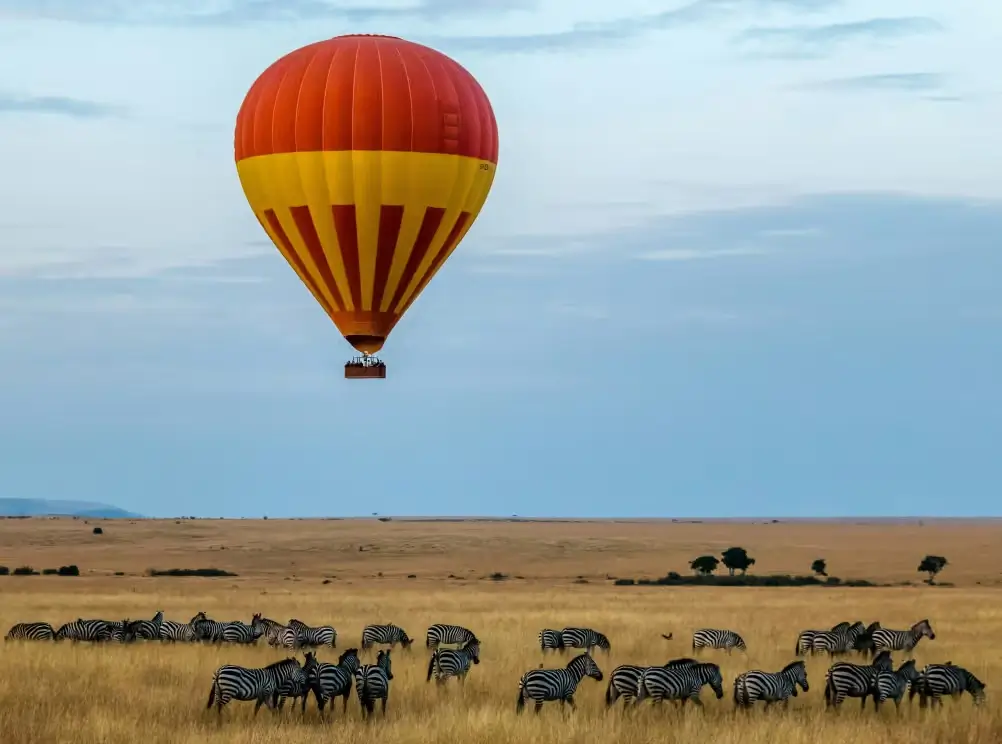 The best safaris you will look back on for a lifetime