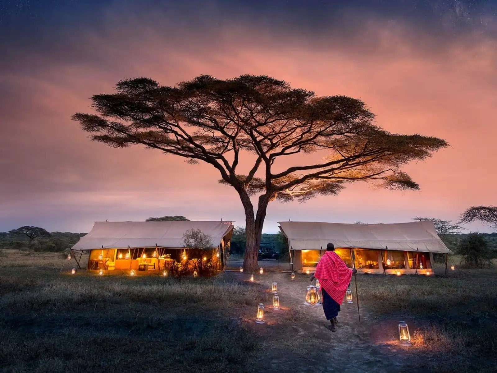 Wildebeests crossing the Serengeti plains