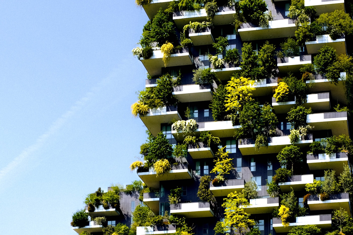 Modern sustainable building with greenery growing on exterior