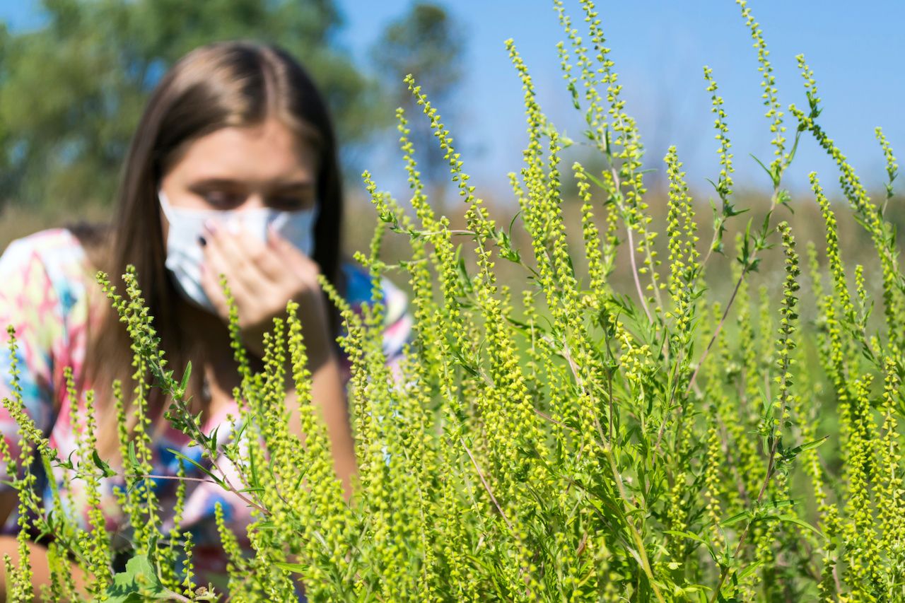 woman with ragweed allergy symptoms