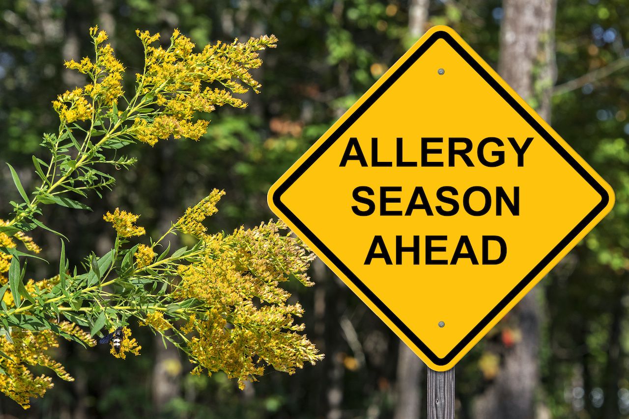 when do seasonal allergies start
